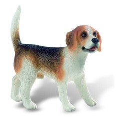Caine rasa &quot;BEAGLE&quot;