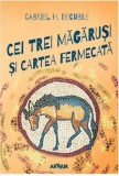 Cei trei magarusi si cartea fermecata/Gabriel H. Decuble