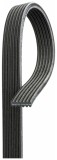 GATES 6DPK1215 Micro-V&reg; Curea transmisie cu caneluri