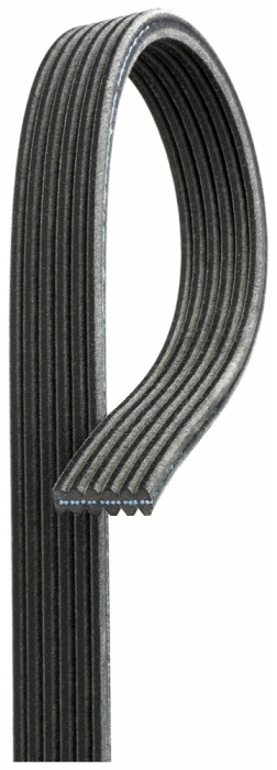 GATES 6DPK1195 Micro-V&reg; Curea transmisie cu caneluri