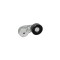 Intinzator curea CHEVROLET CAPTIVA C100 C140 DAYCO APV3100