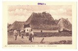 3135 - SIBIU, Country Life, Romania - old postcard - unused - 1917, Necirculata, Printata