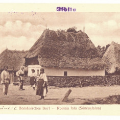 3135 - SIBIU, Country Life, Romania - old postcard - unused - 1917