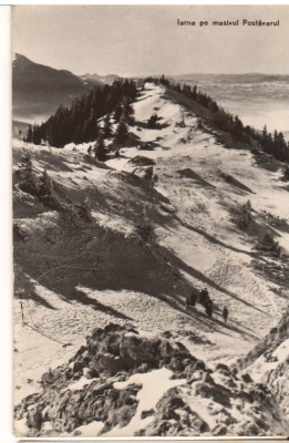CPIB 22696 - CARTE POSTALA - IARNA PE MASIVUL POSTAVARUL, RPR foto