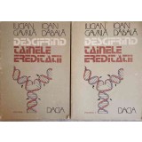 DESCIFRAND TAINELE EREDITATII VOL.1-2-L. IOAN, G. DABALA-258455