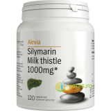 Silymarin Milk Thistle Silimarina Armurariu 120cpr