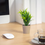 Decor plante artificiale &ndash; &icirc;n ghiveci &ndash; 10 x 19 cm