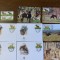 angola - serie 4 timbre MNH, 4 FDC, 4 maxime, fauna wwf