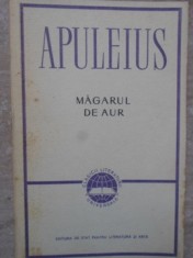MAGARUL DE AUR-APULEIUS-221745