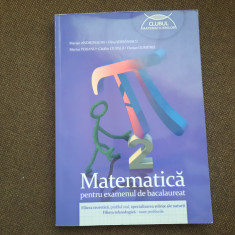 MATEMATICA PENTRU EXAMENUL DE BACALAUREAT MARIAN ANDRONACHE 2013