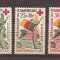 Camerun 1961 - Fondul Crucii Roșii, MNH