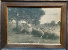 Cioban cu oile, Fotografie de mari dimensiuni, cca 1920