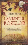Labirintul rozelor - Titania Hardie, Nemira, Roman, Beletristica, Suspans, 572 pagini, 2008