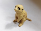 bnk jc Kinder 2024 - Kinder - Natoons cubs 2024-2025 - Meerkat - VQ127