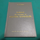 GLOSAR DE TERMENI &Icirc;N CULTURA CIUPERCILOR / N. MATEESCU / 1973 *13