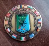 QW11 19 - Medalie - tematica militara - Comandamentul Romania - NATO - 2020