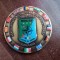 QW11 19 - Medalie - tematica militara - Comandamentul Romania - NATO - 2020