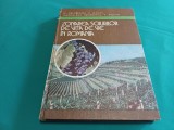 ZONAREA SOIURILOR DE VIȚĂ DE VIE &Icirc;N ROM&Acirc;NIA * M. OȘLOBEANU * 1991* 4 4 1