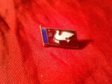 Insigna veche - URSS - Porumbelul Pacii si insemne comuniste, metal si email , L=1,7cm