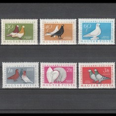 Galambfajt&aacute;k (Porumbei) LP 1572-1577 1958
