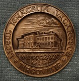 Medalie Centenar Liceul Ienăchiță Văcărescu 1874 - 1974 T&acirc;rgoviște.Bromz .6 cm