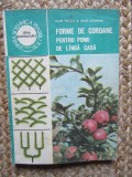 Forme de coroane pentru pomii de langa casa &ndash; Ioan Militiu, Ioan Godeanu