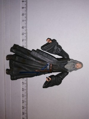 bnk jc Stapanul Inelelor - Gandalf - NLP 2012 foto