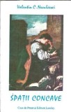 Cumpara ieftin Spatii Concave - Valentin C. Neculaesei Carte Editie Colectie Literatura Romana 1995 Autograf