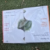 Scrieri - Ion Bucheru volumul 1+2