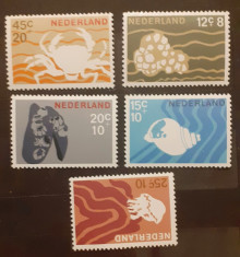 Olanda 1967 fauna marina , serie 5v. Mnh, foto