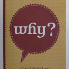 WHY ? - LOOKING AT GOD , EVIL and PERSONAL SUFFERING by SHARON DIRCKX , 2013