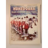 Ovidiu Popescu; Șerban Popescu - Hunedoara: orașul pădurenilor, orașul fierului