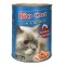 HRANA UMEDA PENTRU PISICI BIO CAT SOMON TON 410GR (24BUC BAX)