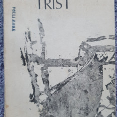 Fluviul trist, Fernando Namora, Ed Univers 1988, 250 pagini