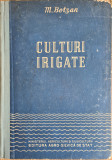 Culturi irigate - M. Botzan