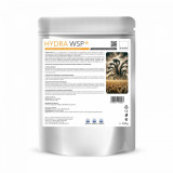Insectosupresor cereale și oleaginoase doza pentru 1 hectar Hydra WSP 500 g