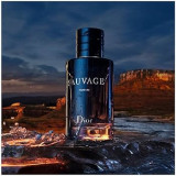 Parfum Dior SAUVAGE 100 ml