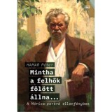 Mintha a felhők f&ouml;l&ouml;tt &aacute;llna... - A M&oacute;ricz-portr&eacute; ellenf&eacute;nyben - Hamar P&eacute;ter