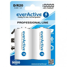 R20 D 10000mAh baterie reincarcabila everActive Professional Con?inutul pachetului 1x Blister foto