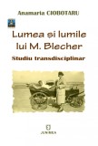 Lumea si lumile lui M. Blecher | Anamaria Ciobotaru, Junimea