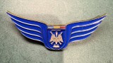 Insigna Academia Fortelor Aeriene Henri Coanda