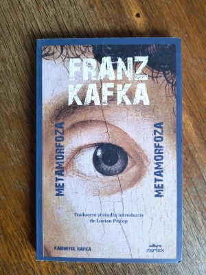Metamorfoza - Franz Kafka / R4P3F foto