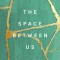 The Space Between Us: Conversations about Transforming Conflict
