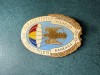 Insigna militara aniversara Batalionul 60 Parasutisti Baneasa Otopeni 50 ani