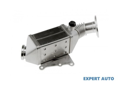 Radiator recirculare gaze Fiat Doblo (2009-&amp;gt;) [263] #1 foto