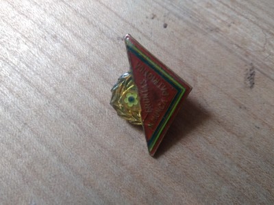 Insigne Pionieri Fruntas in Munca foto