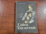 Calea Vacaresti de I.Peltz