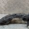 Suport bara de protecție dreapta spate PORSCHE MACAN 95B 2016 OEM: 95B.807.484.A,95B807484A 22296809