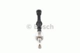 Injector JAGUAR F-TYPE Cabriolet (QQ6) (2012 - 2016) BOSCH 0 261 500 296