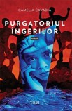 Cumpara ieftin Purgatoriul &icirc;ngerilor - Camelia Cavadia, Trei